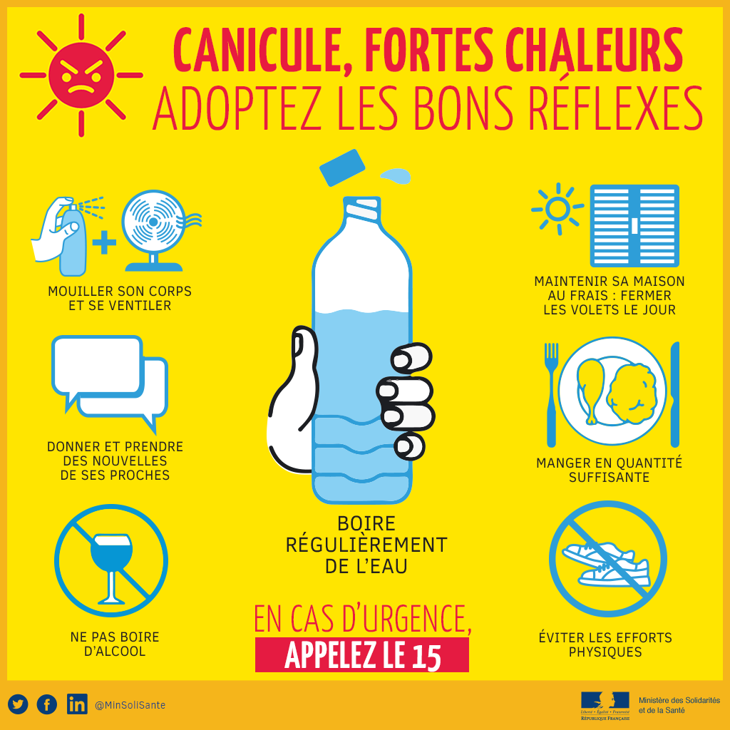 Canicule conseils